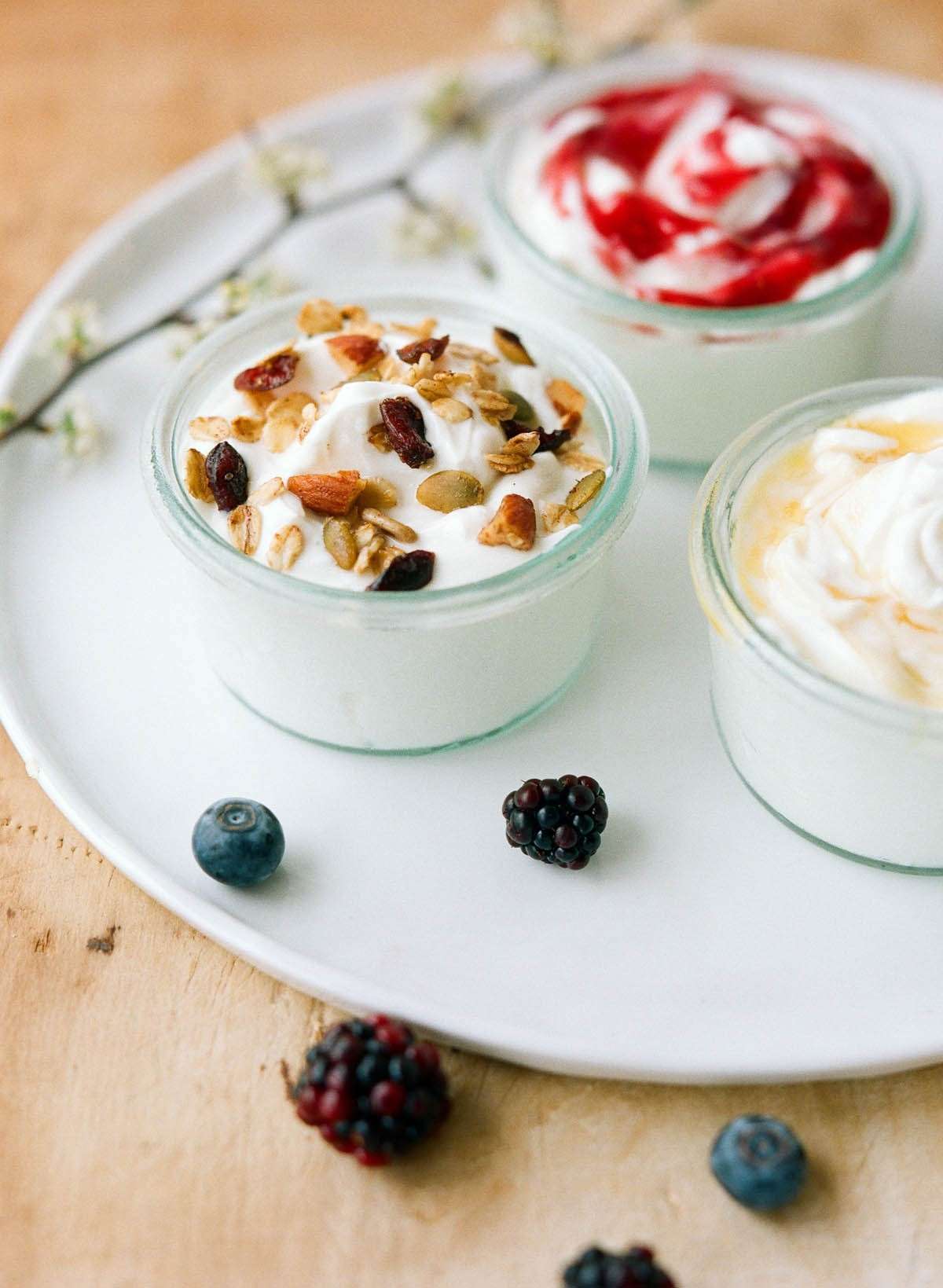 yogurt yogurt
